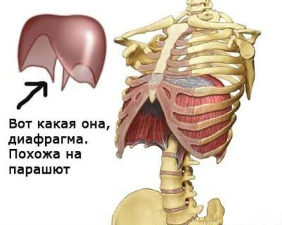 упражнения для сексуального голоса